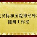 好消息！“近”享頂尖醫(yī)療服務！協(xié)和醫(yī)院神經外科知名專家團隊每周四到市中心醫(yī)院坐診、手術！