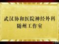 好消息！“近”享頂尖醫(yī)療服務(wù)！協(xié)和醫(yī)院神經(jīng)外科知名專家團(tuán)隊(duì)每周四到市中心醫(yī)院坐診、手術(shù)！