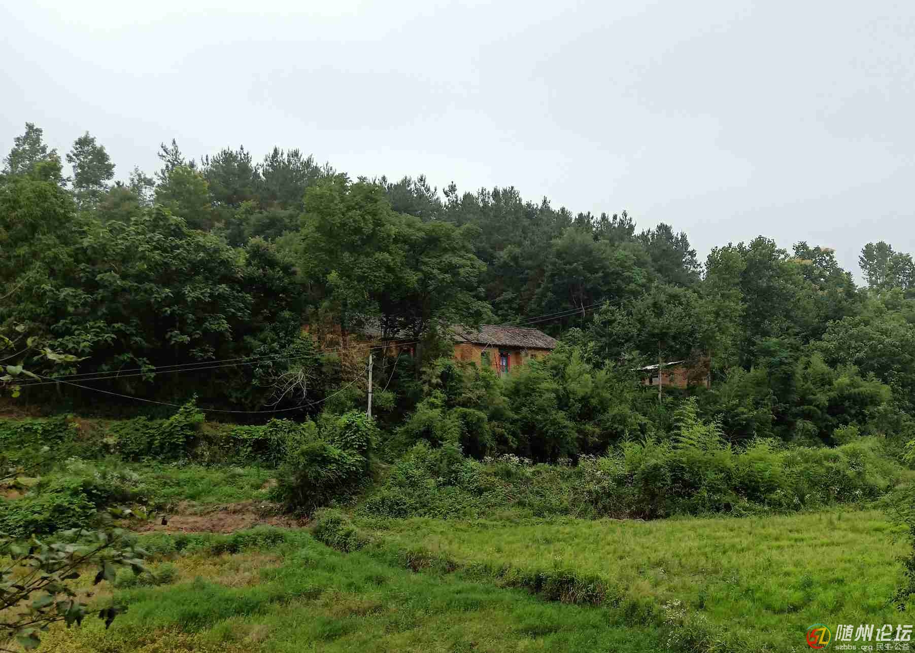 1、草間小路可不好走.jpg
