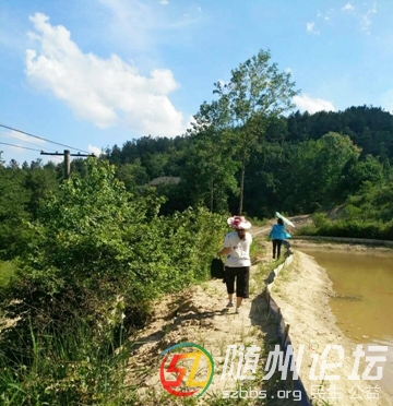 7、藍天、白云，風景如畫，可我們不能停止腳步享受.jpg