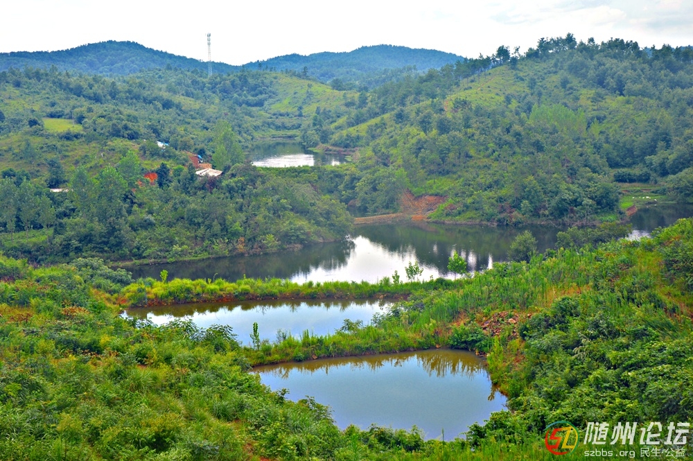 DSC_2066.JPG