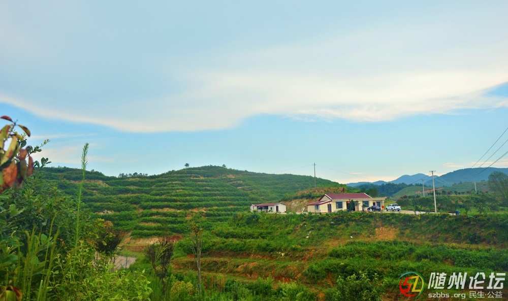 DSC_2053.JPG