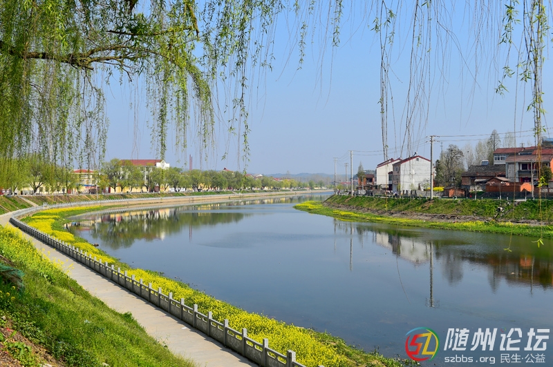 1、《一河兩岸》 林俊.jpg