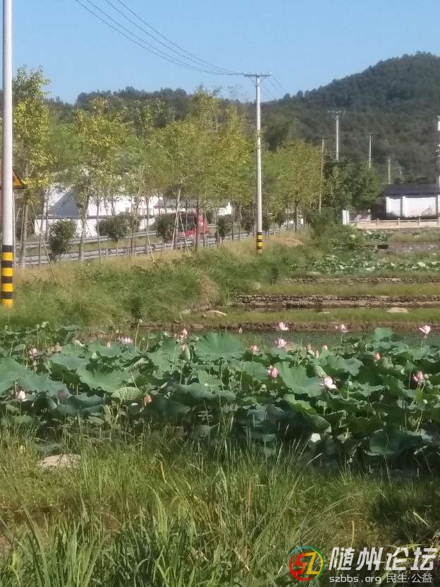 20180828_17382348_1535413743191.jpg