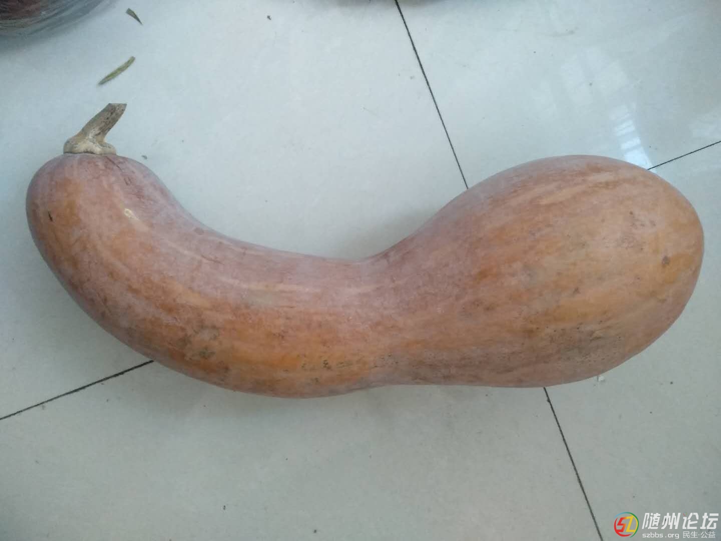微信圖片_201810110816336.jpg