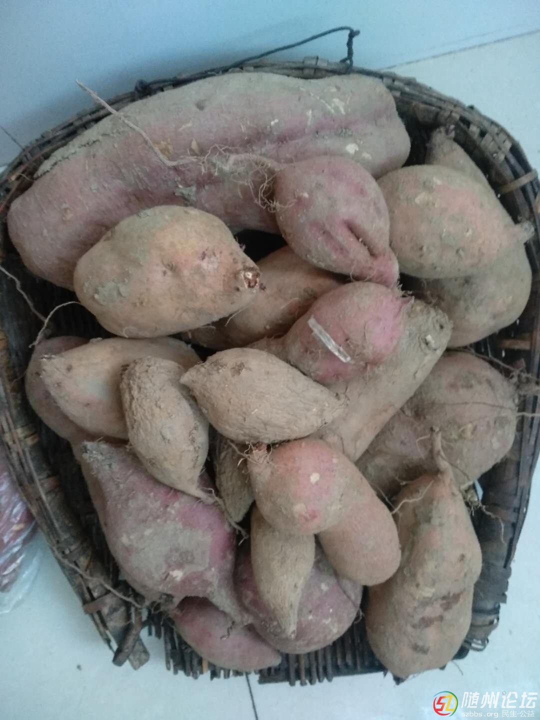 微信圖片_201810110816337.jpg