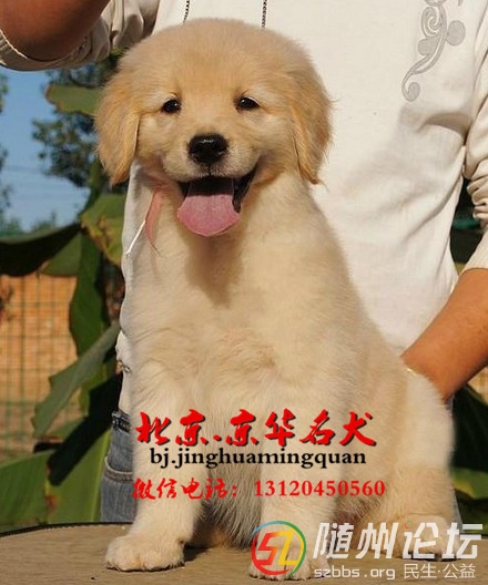 173136mbi90dfww50cw0mw.jpg