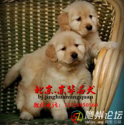 891869a13dd49df35ead68e2729b592f.jpg