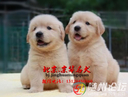 2_136636_afe826dbe217f65.jpg