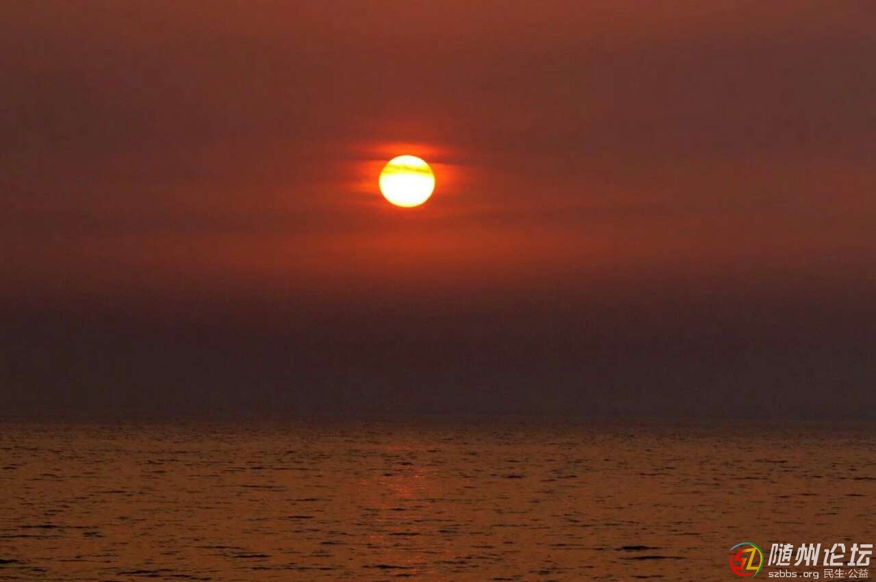 20190121_17381917_1548040881247.jpg