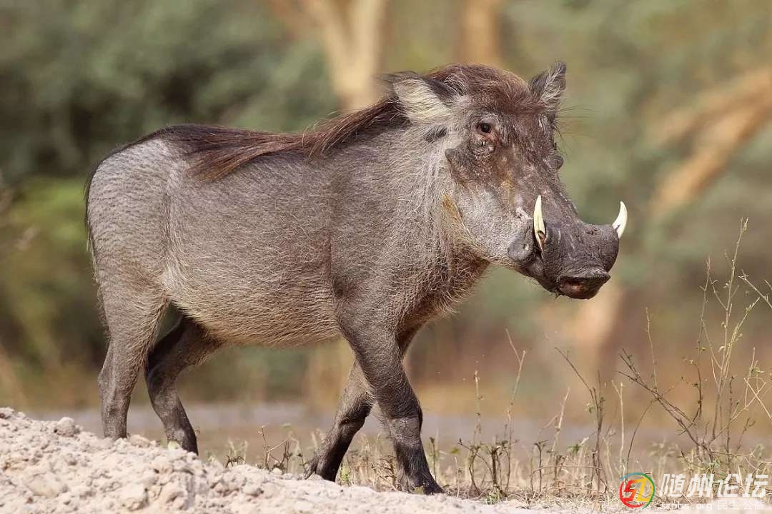 20190218_17383077_1550451884533.jpg