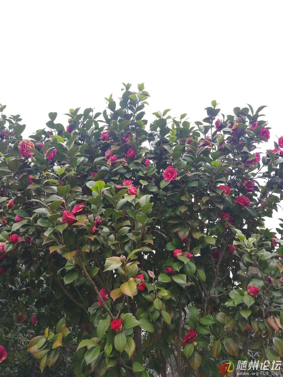 20190223_17383077_1550890826821.jpg