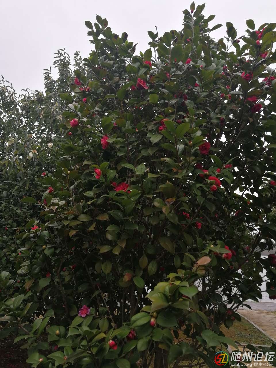 20190223_17383077_1550890827350.jpg