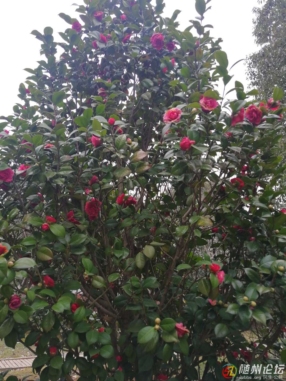 20190223_17383077_1550890827575.jpg