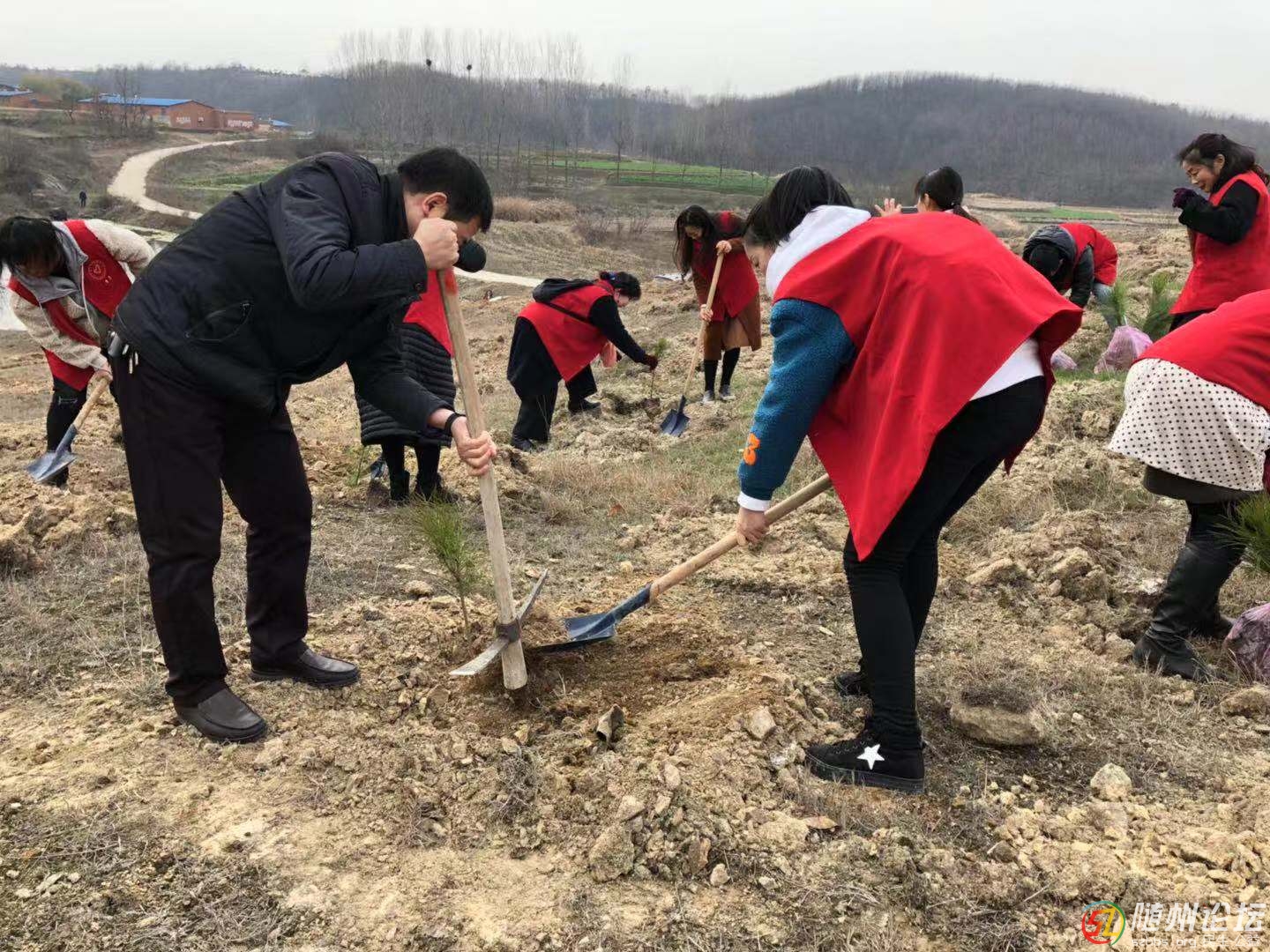 QQ圖片20190308101811.jpg