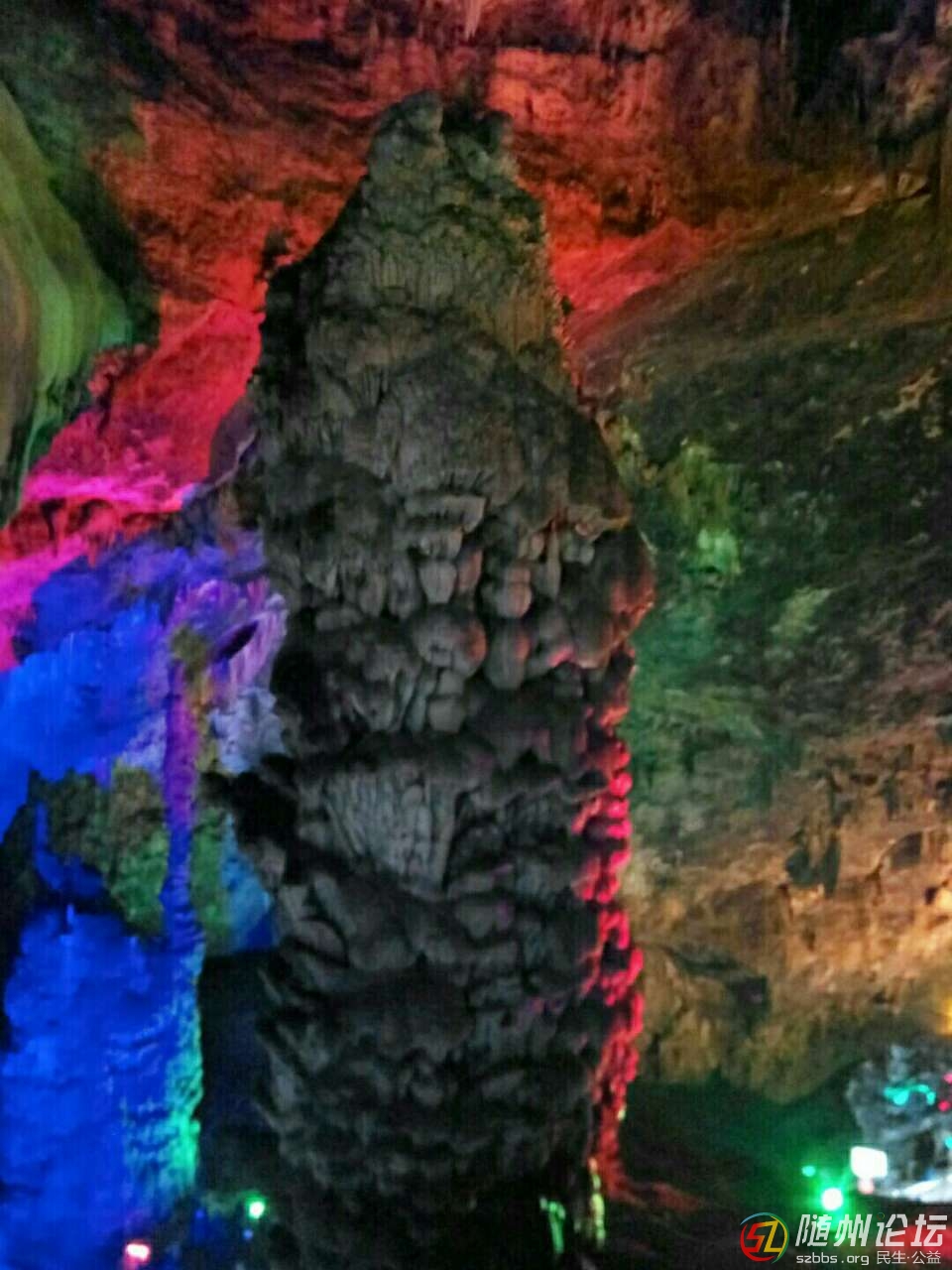 20190428_142609_1556456079408.jpg