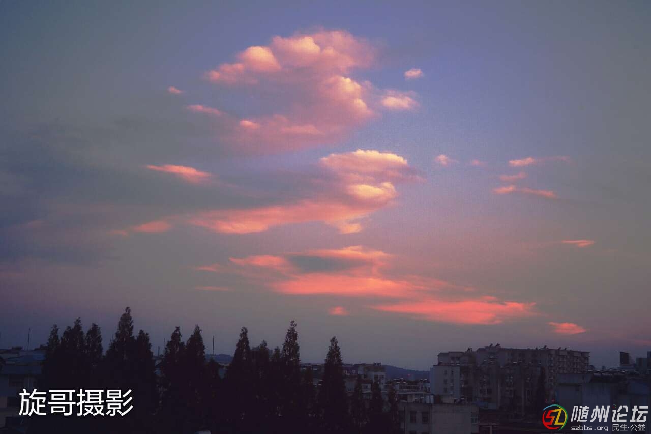 20190709_17390550_1562676708845.jpg