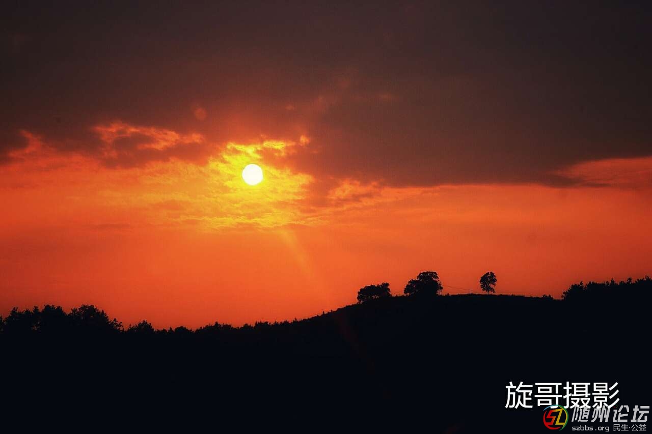 20190709_17390550_1562676708939.jpg