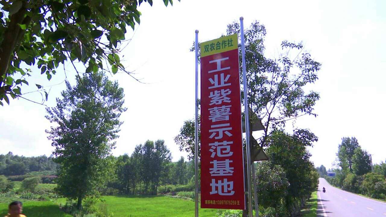 20200703_41509_1593785202897.jpg