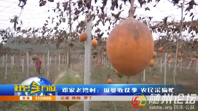 微信圖片編輯_20201208150154.jpg