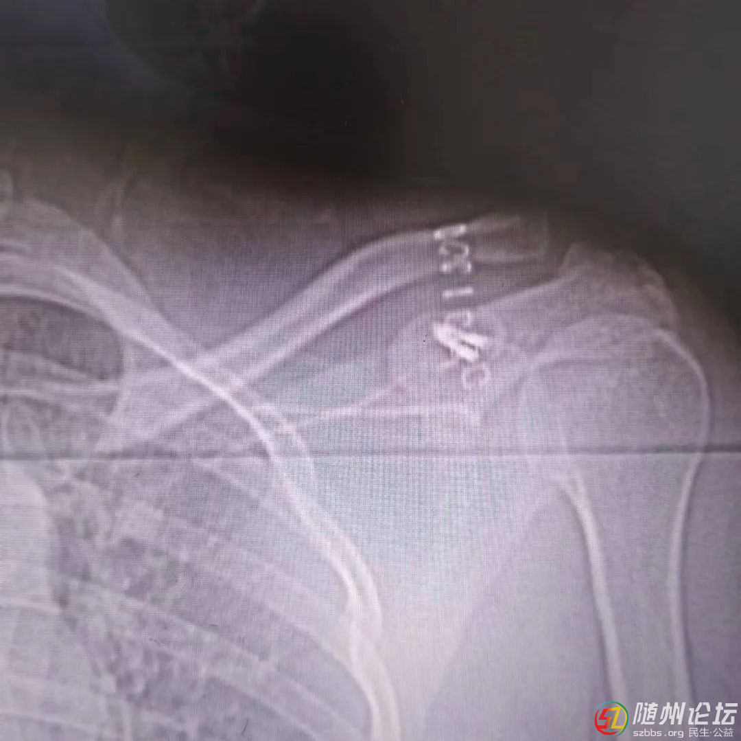 微信圖片_20240722091316.jpg