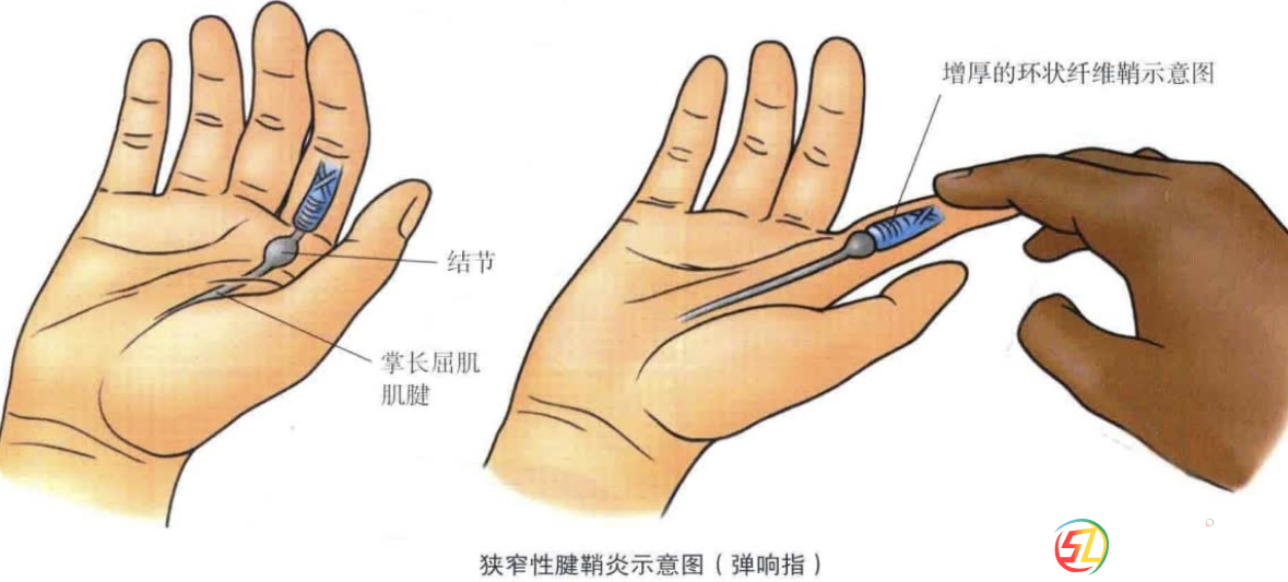 微信圖片_20250804173923.png
