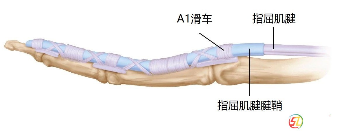 微信圖片_20250804174106.png