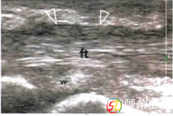 微信圖片_20250804174111.png