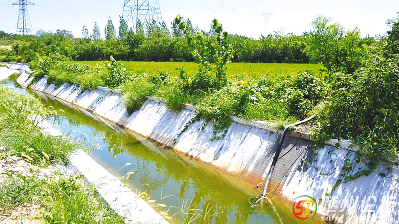 北郊街道汲水湖村：4000余畝水稻“喝上”保穗水